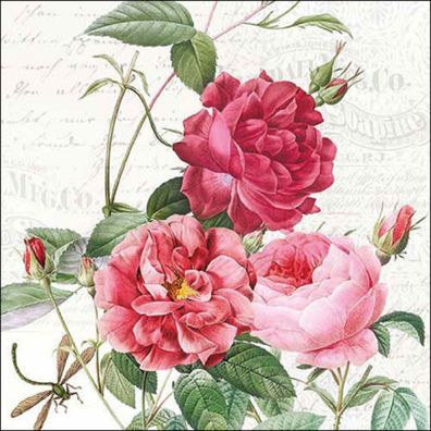 Servietten Papier 33x33cm 3-lag. mit nostalgischem Rosenmotiv 20 Stück