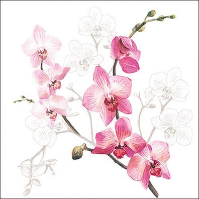 Servietten Papier 33x33cm 3-lagig mit Orchideen Motiv 20 Stück