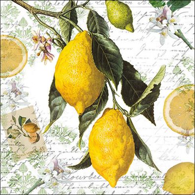Servietten Papier 33x33cm 3-lagig mit Vintage Zitronen Motiv 20 Stk