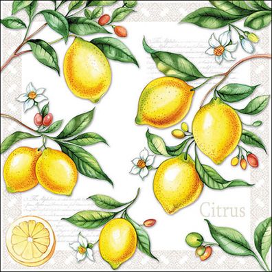 Servietten Papier 33x33cm 3-lagig mit Zitronen & Blüten Motiv 20 Stk