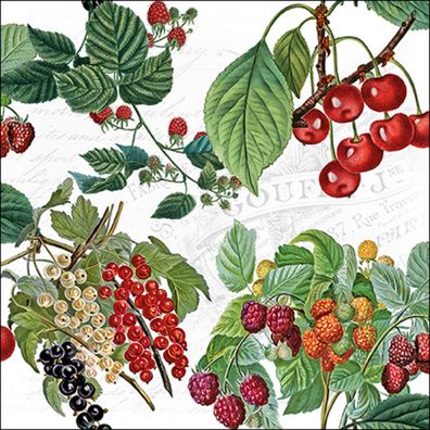 Servietten Papier 33x33cm 3-lag. mit Beeren & Kirschen Motiv 20 Stück