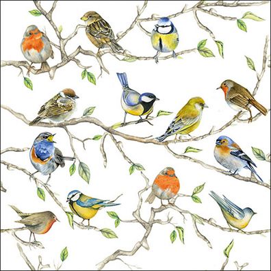 Servietten Papier 33x33cm 3-lagig mit Singvögel & Zweige Motiv 20 Stk