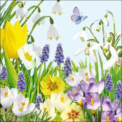 Servietten Papier 33x33cm 3-lagig mit Blumenwiese Motiv 20 Stk