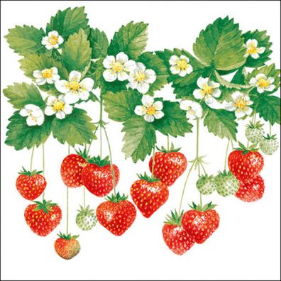 Servietten Papier 33x33cm 3-lagig mit Erdbeeren & Blüten Motiv 20 Stk
