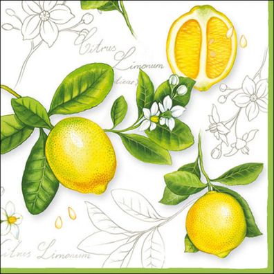 Servietten Papier 33x33cm 3-lagig mit Vintage Zitronen Motiv 20 Stück