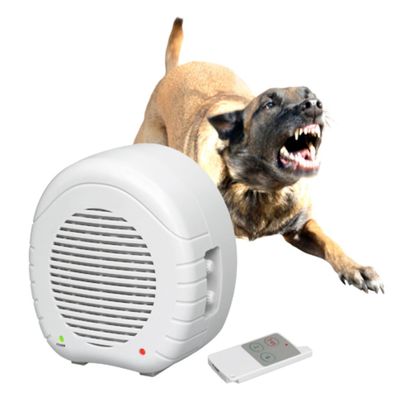 EW01 Elektronischer Wachhund