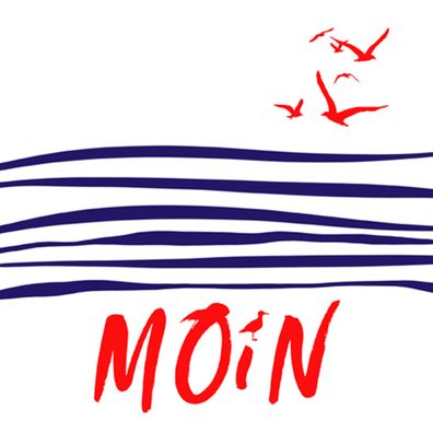 Servietten Papier 33x33cm 3-lagig Moin Motiv 20 Stück Weiß Blau Rot