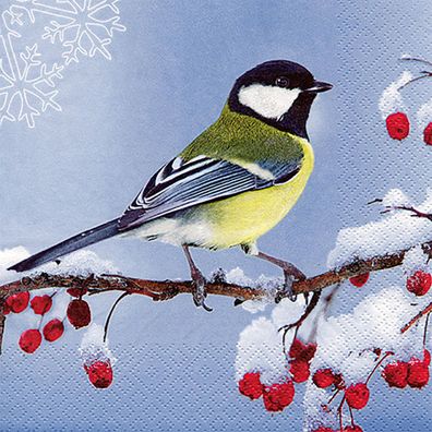 Servietten Papier 33x33cm Kohlmeise am Beerenzweig 20 Stück
