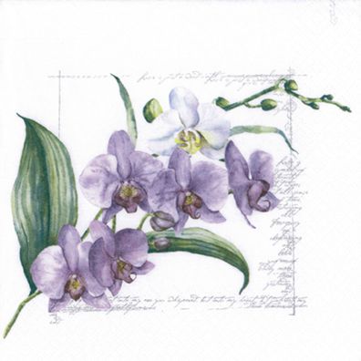 Servietten Papier 33x33cm 3-lag. Orchideen Blumenmotiv 20 Stk. Violett