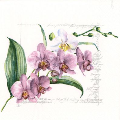 Servietten Papier 33x33cm 3-lag. Orchideen Blumenmotiv 20 Stk. Rosa