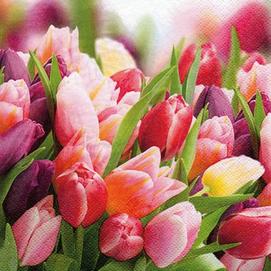 Servietten Papier 33x33cm 3-lagig mit Tulpen Motiv 20 Stück Bunt