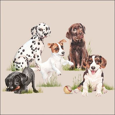 Servietten Papier 33x33cm 3-lagig mit Hundemotiv 20 Stück