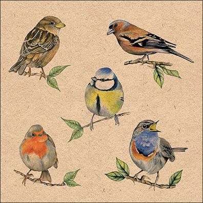 Servietten Papier 33x33cm 3-lagig mit Singvögel Motiv 20 Stück