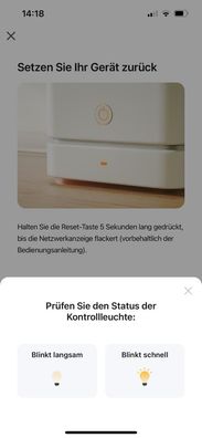 WWD 100 Wireless Wasser-Detektor