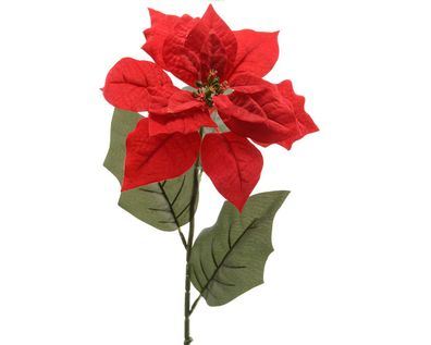 Weihnachtsstern Blume am Stiel 67cm rot