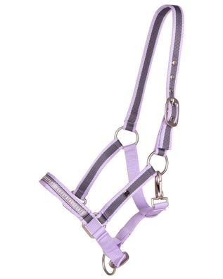 QHP Halfter Fohlen Collection Lavender FS 23