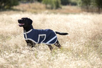 Horseware Amigo Ripstop Dog Rug Hundemantel 100g Navy/Silver