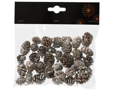 Tannenzapfen / Deko Naturzapfen 2-3cm braun beschneit