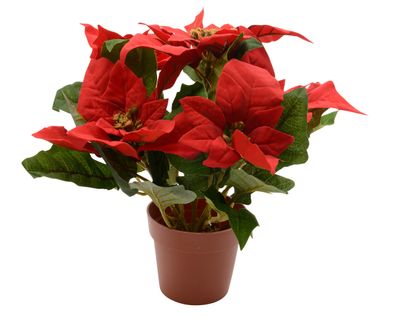 Weihnachtsstern künstlich 27cm im Topf Rot