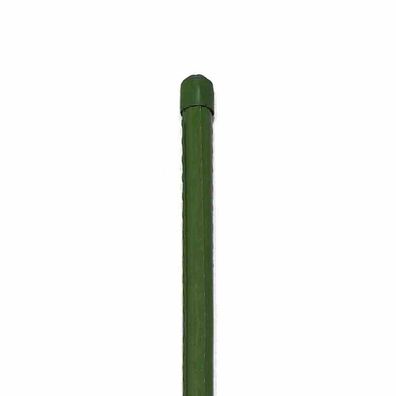 Pflanzstab 61615 16x1500 mm