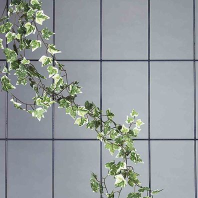 Wandspalier 5-strebig weiß Maße: 150 x 75 cm