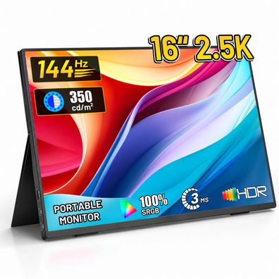 E41D 16´´ QHD 2,5K IPS Tragbarer Monitor USB-C Mini HDMI VESA Schutzhülle PC Laptop