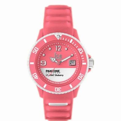 Unisexarmbanduhr ICE-WATCH PAN. BC. DUB.U.S.13