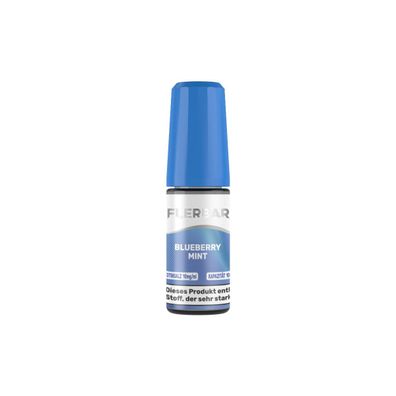 Flerbar Liquid - Blueberry Mint Nikotinsalz Liquid