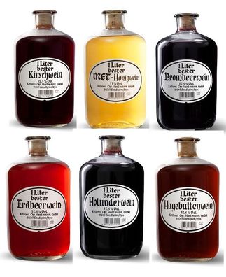 Apothekerflasche 6x Fruchtwein Met-Honigwein Erdbeere Brombeerwein Holunder Hagebutte