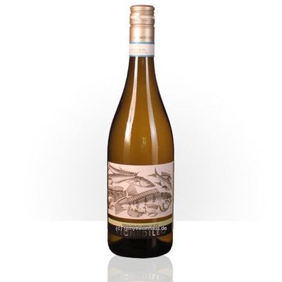 Soc. Agr. Tre Castelli 2025 Vignedileo Verdicchio dei Castelli di Jesi DOC Class