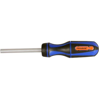 Projahn 1/4" Ratschenschraubendreher mit Bitfach und 10 markierten Bits