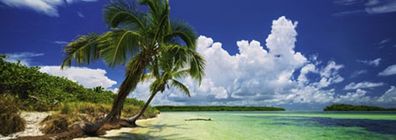 Edition Humboldt - Strand im Paradies