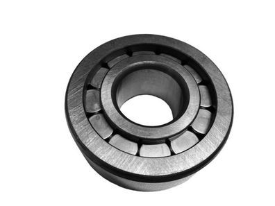 SL192305 Schaeffler Zylinderrollenlager