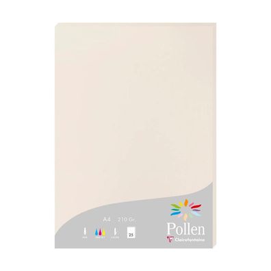 Clairefontaine Papier A4 Pollen 210g grau 25 Bl