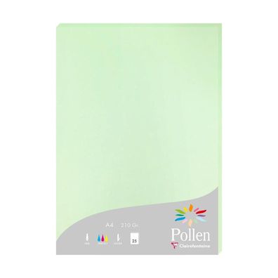 Clairefontaine Papier A4 Pollen 210g grün 25 Bl