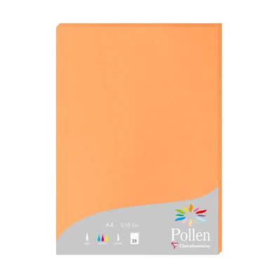 Clairefontaine Papier A4 210g clementine 25Bl