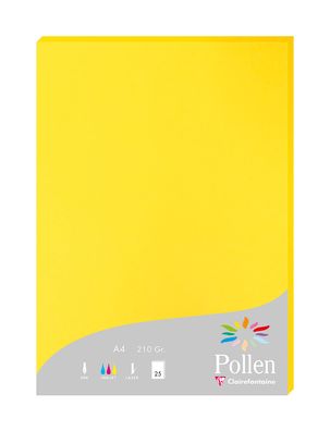 Clairefontaine Papier A4 210g sonne 25Bl