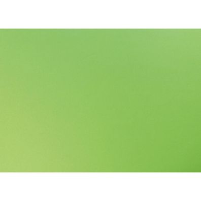 Maildor Fotokarton 270g 50x65 Rec 25 Bg minz