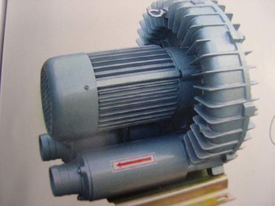 Belüfter MPQ905 6000 l//h Sauerstoffpumpe Teichbelüfter Transport 12v Batterie