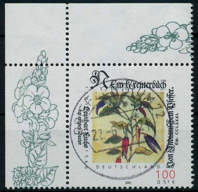 BRD 2001 Nr 2161 zentrisch gestempelt ECKE-OLI X84AD86