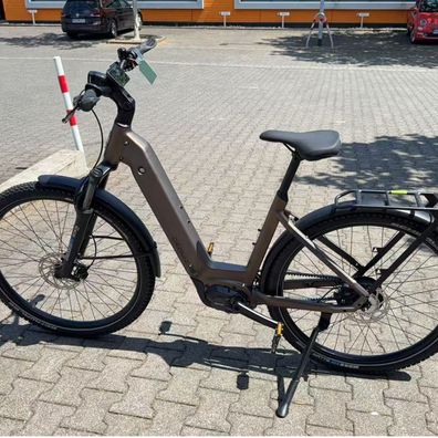 Deruiz 29"E-Bike Mica Pro Elektrofahrrad mit 250 W 110 Nm MTB für Damen und Herren