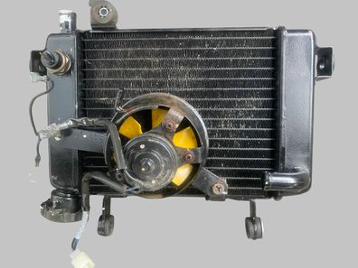 Honda CBR 125 JC34 Kühler mit Lüfter und Thermostat komplett