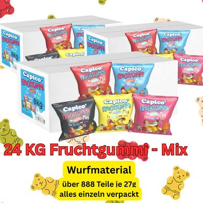 24 kg Fruchtgummi Mix 888 Tuetchen einzeln verpackt Grosspackung Vorratspackung