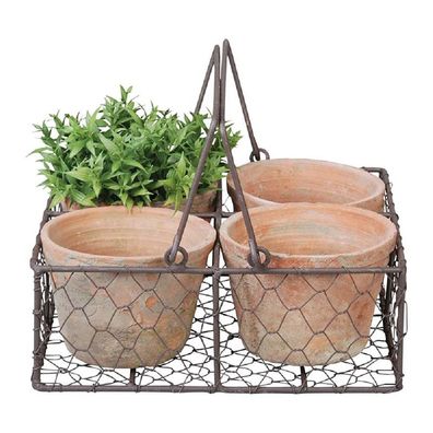 Stilvoll präsentiert: 4 Terracotta Blumentöpfe in elegantem Drahtkorb