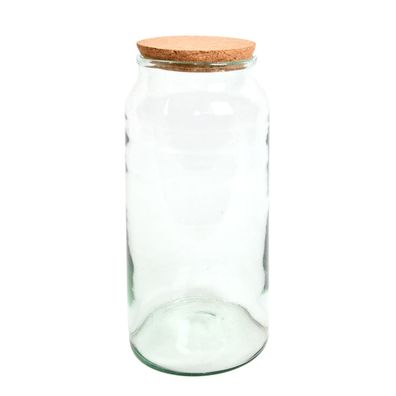 Halboffene Terrarium Flasche Glas 10 L Pflanzen Deko Gewächs Haus Blumen Kork