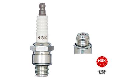 NGK6431 BU8H für Mercury 136 86 Q 136 86 B2