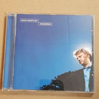 DAVID Knopfler wishbones Optimal NM/EX (CD Album, Pop, Edel)