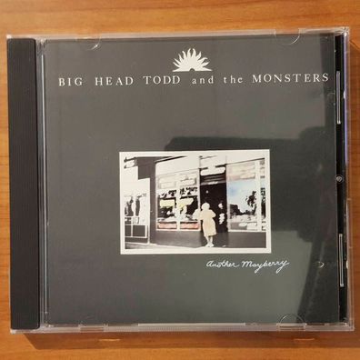 BIG HEAD TODD AND THE Monsters another mayberry EX/EX (CD Album, Blues, Big)