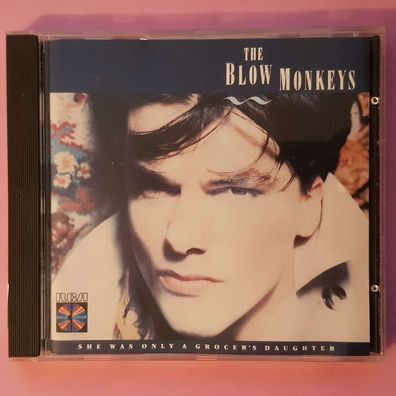 THE BLOW Monkeys she was only a grocer's daughter Sonopress Germany NM/EX