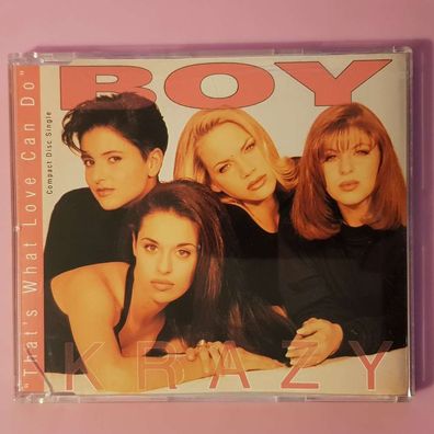 BOY KRAZY that's what love can do FULL SILVER Germany EX/EX (MCD, Pop, Polydor)